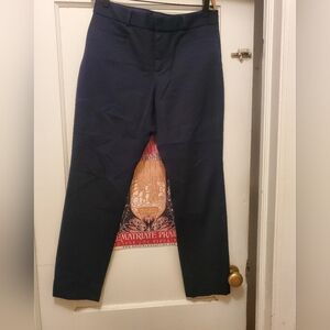 Banana Republic Midnight Blue Slacks